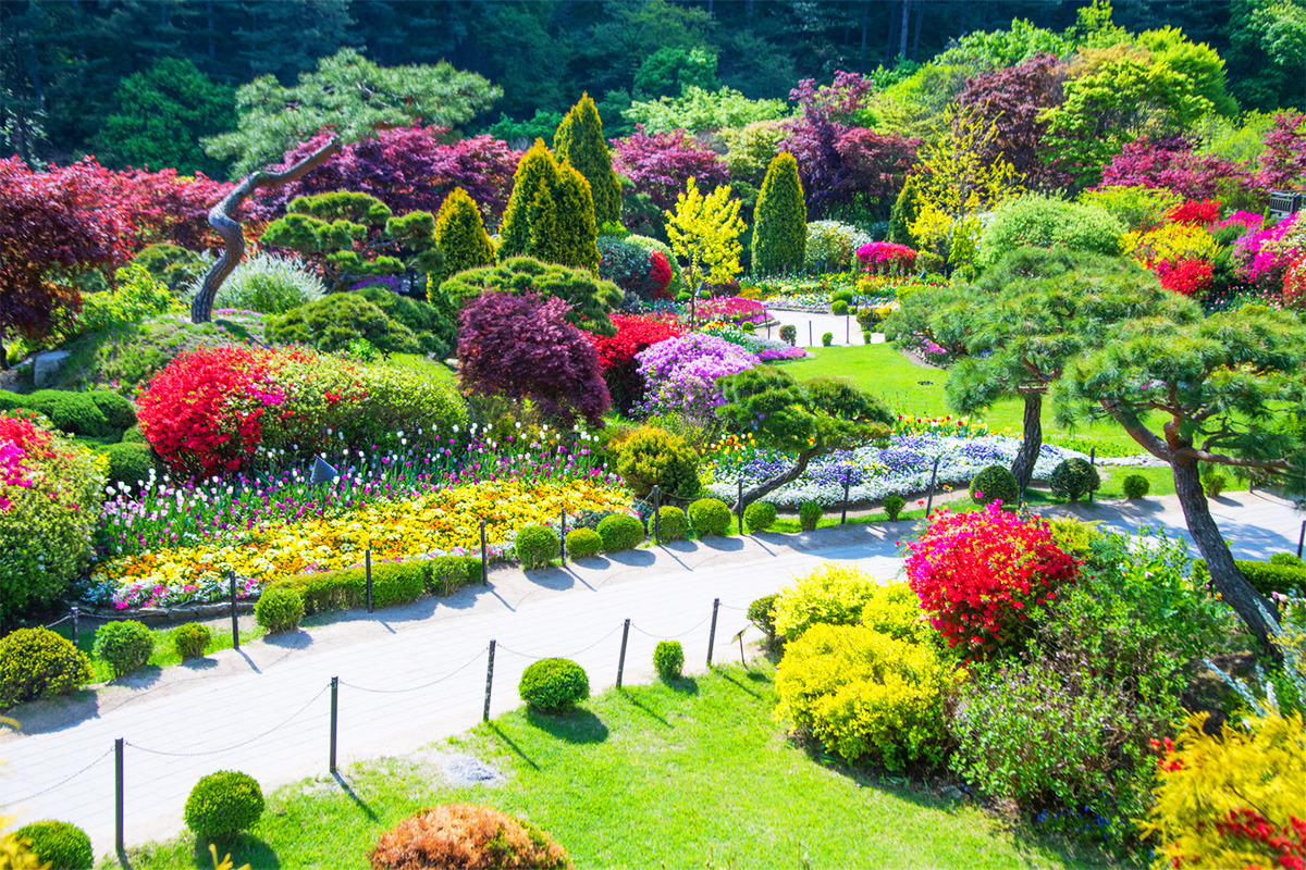 Gapyeong winter attractions2.jpg