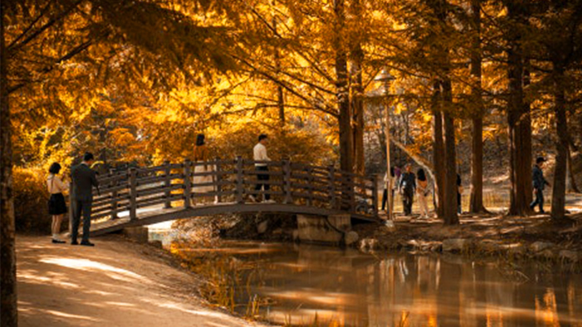 Fall at Naksangmulgil Park4.jpg