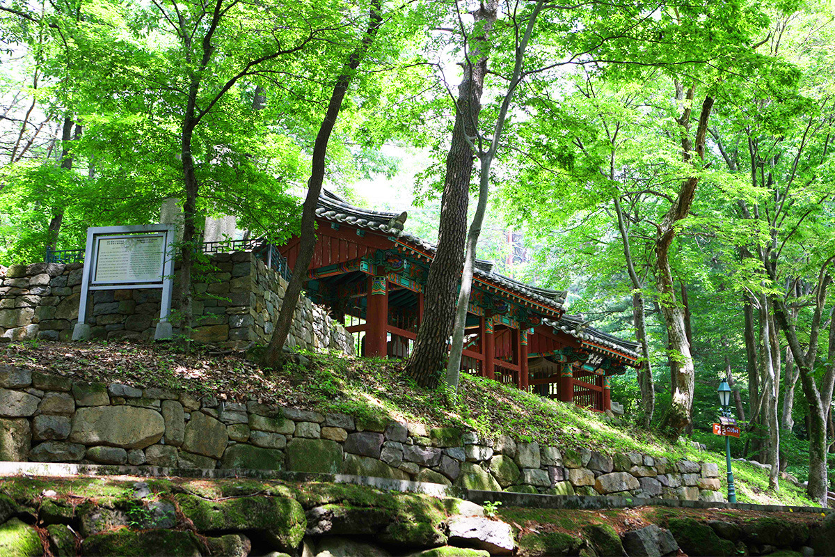 Daegu outing attractions5.jpg