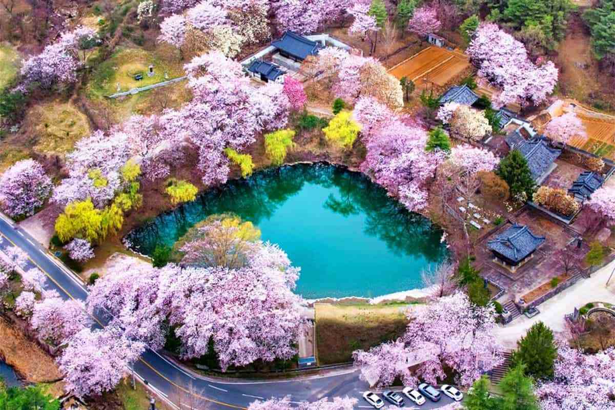 Geochang-spring-travel-destination4.jpg