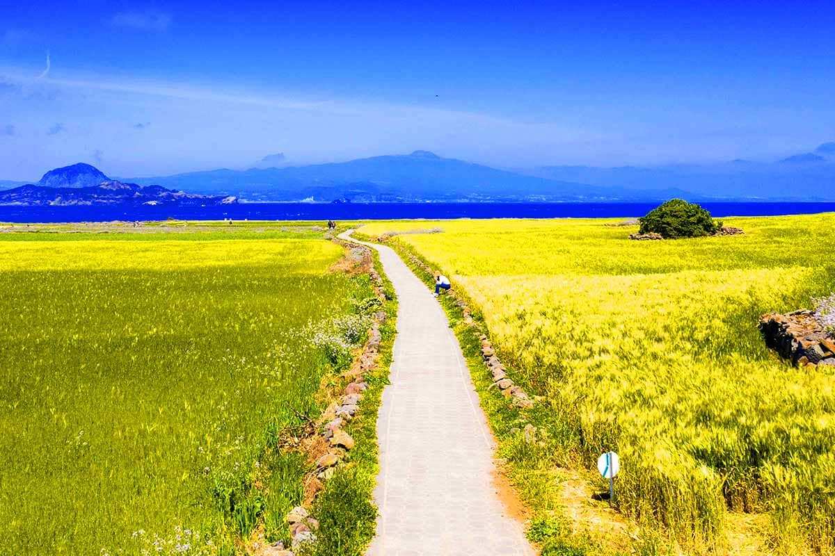 Jeju-Islands-Spring-Island-Travel-Area-4.jpg