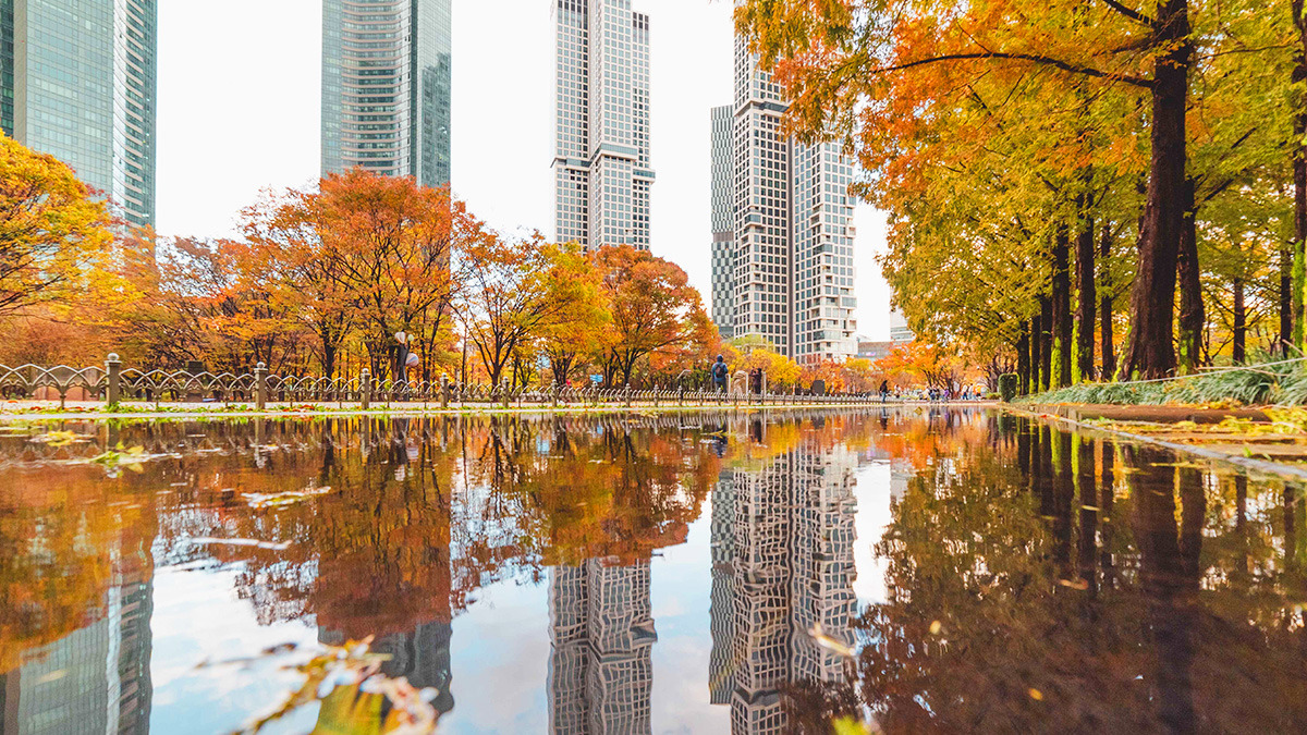 Ttukseom Seoul Forest Autumn Foliage6.jpg