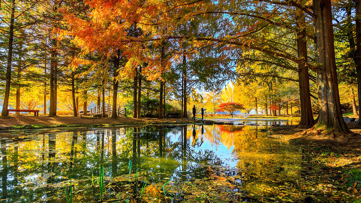 Fall at Naksangmulgil Park3.jpg