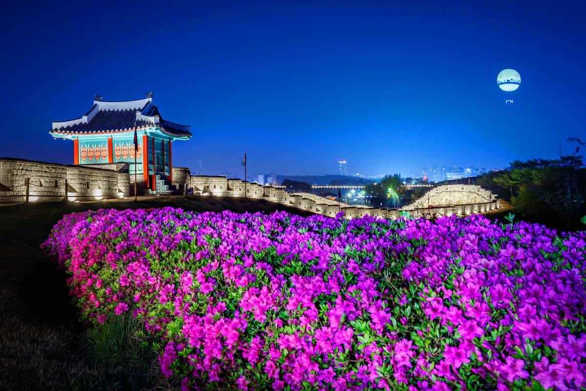 Suwon-spring-attractions3.jpg