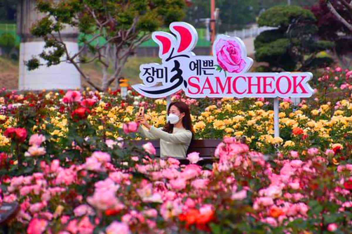 Samcheok-Rose-Festival-5.jpg