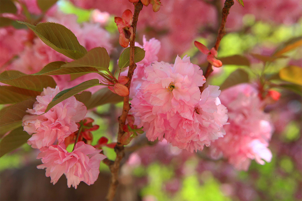 제목 없음-14.jpg