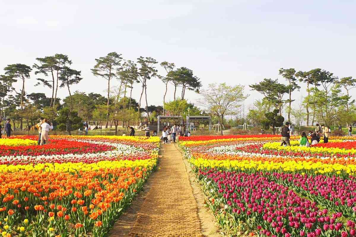 Cheongju-Munam-Ecological-Park3.jpg