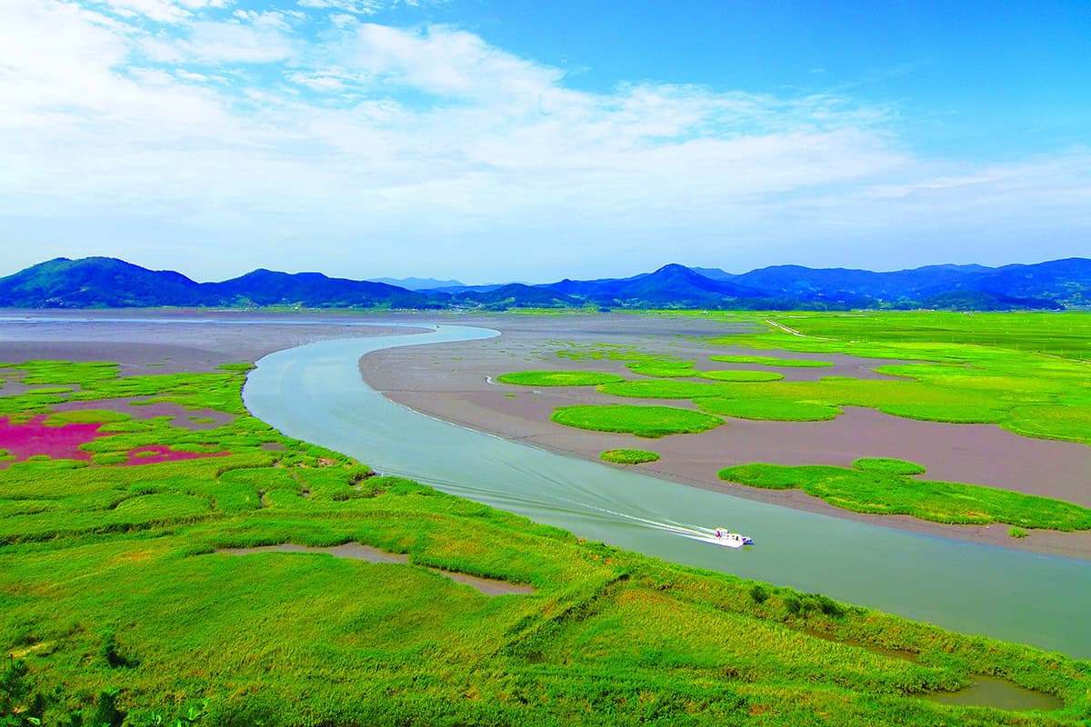 Suncheon-Bay-Wetland-5.jpg