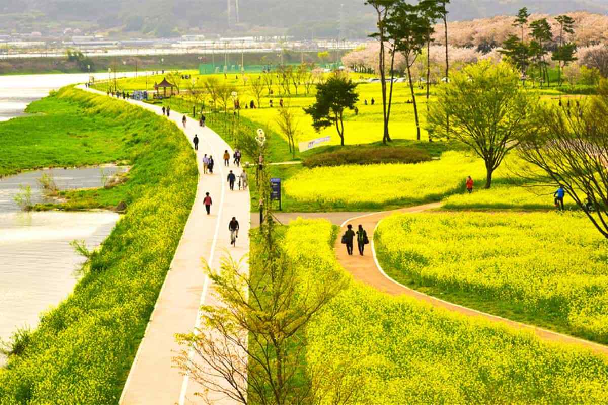 Miryang-spring-travel-destination3.jpg