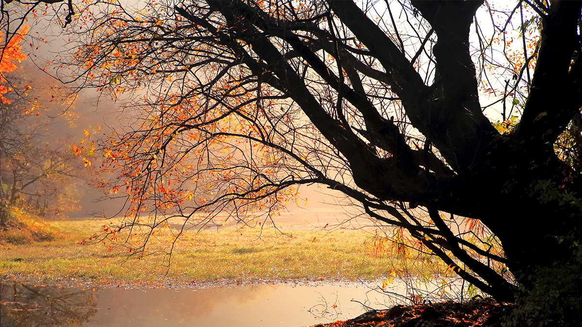 Miryang Wiyangji Wanjaejeong6.jpg