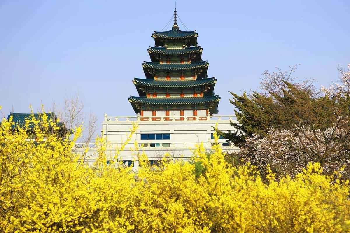 Seoul-spring-attractions1.jpg