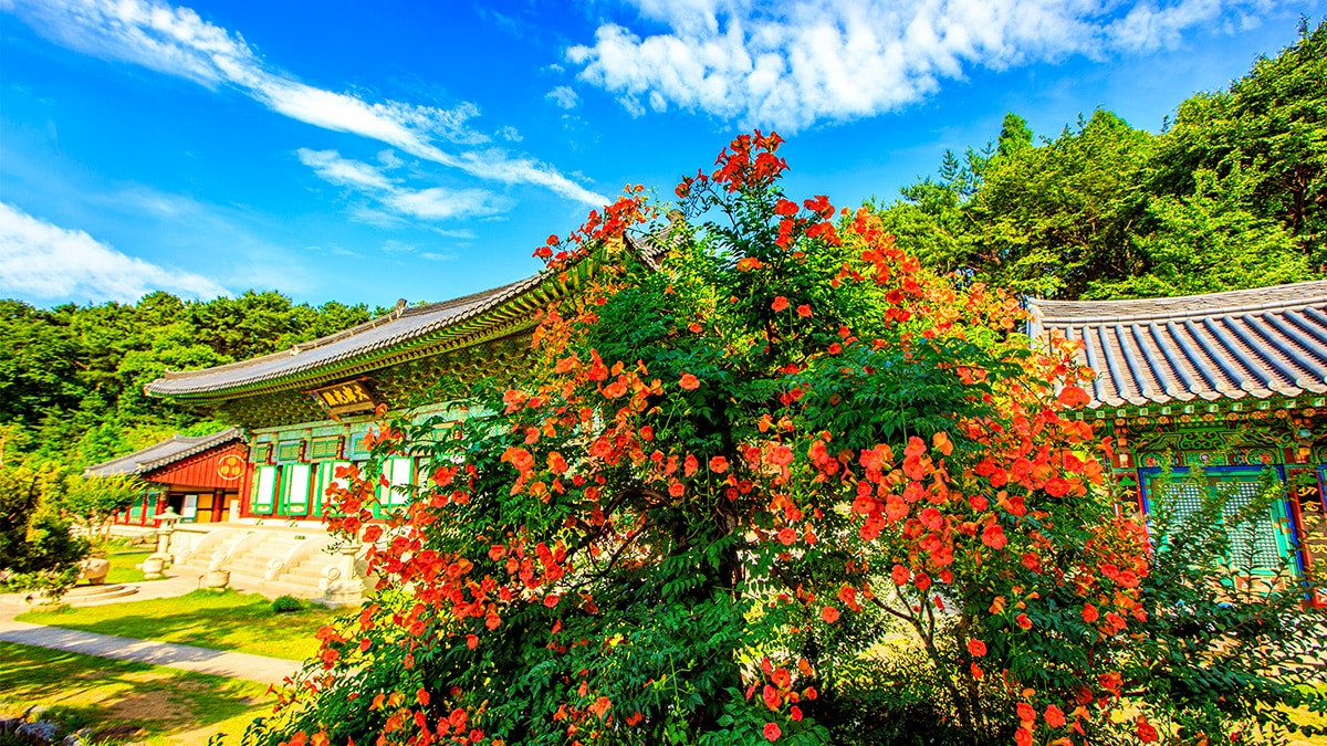 Bongnyeongsa-Temple-Nungsohwa-5.jpg
