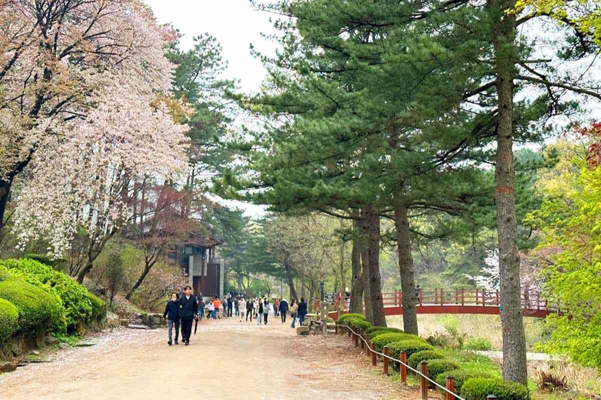 Anyang-Gwanak-Arboretum4.jpg