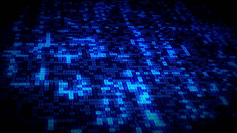 CK_pc0040562281_l (1).jpg