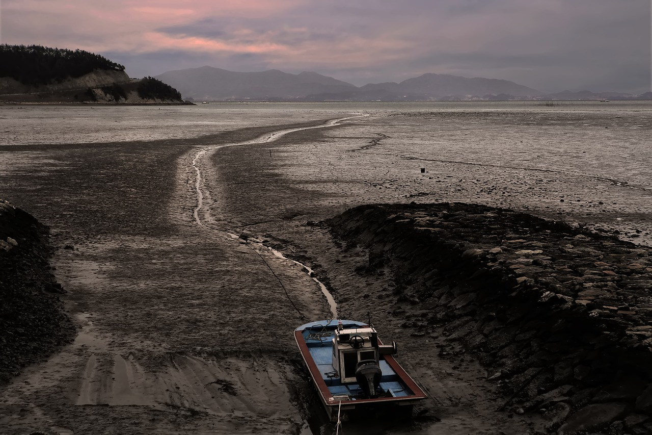갯벌.jpg