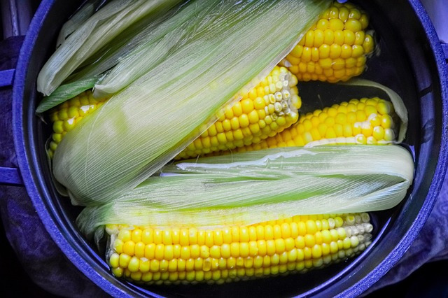 corn-7262892_640.jpg