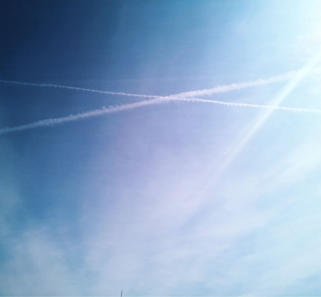 출처 (dodoma.bsky.social)5.jpg