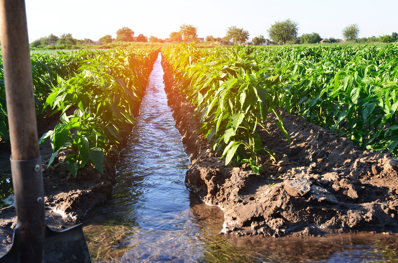 watering-of-agricultural-crops-countryside-natur-2023-11-27-05-21-22-utc.jpg