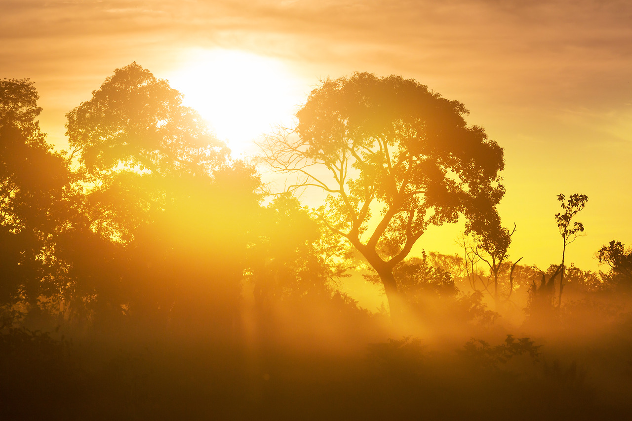 rural-landscapes-in-brazil-2024-07-05-00-16-36-utc.jpg