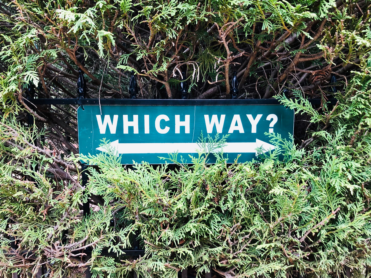 green-sign-on-hedge-saying-which-way-with-arrows-2023-11-27-05-25-34-utc.jpg
