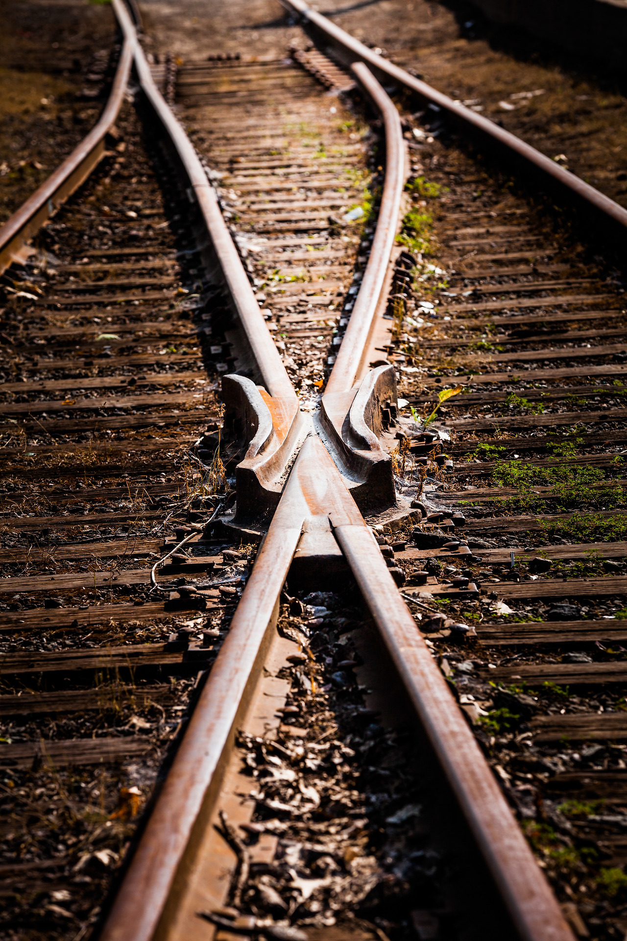 train-track-detail-2023-11-27-05-20-51-utc (1).jpg