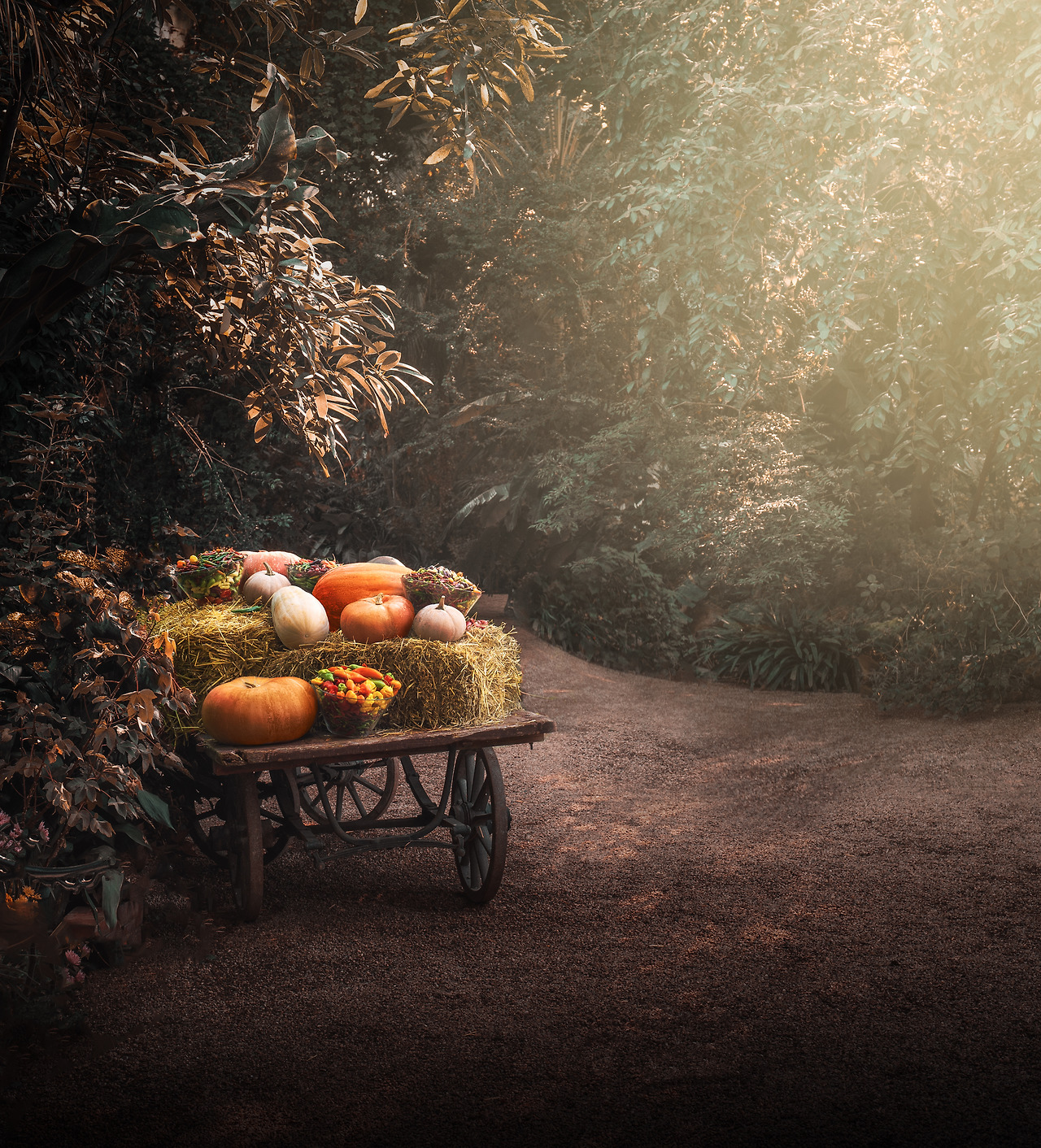festive-autumn-wooden-cart-with-pumpkins-and-veget-2023-11-27-05-07-08-utc.jpg