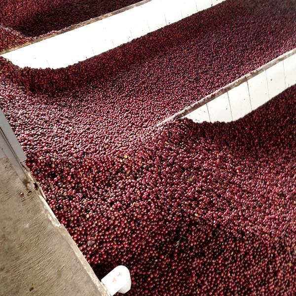 화면 캡처 2024-03-20 113442.jpg