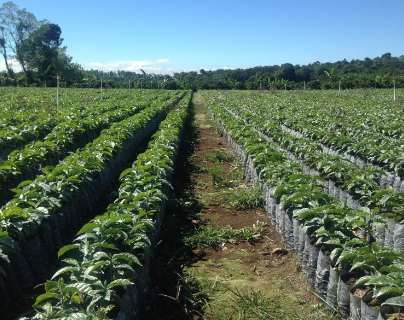 화면 캡처 2024-03-20 113442.jpg