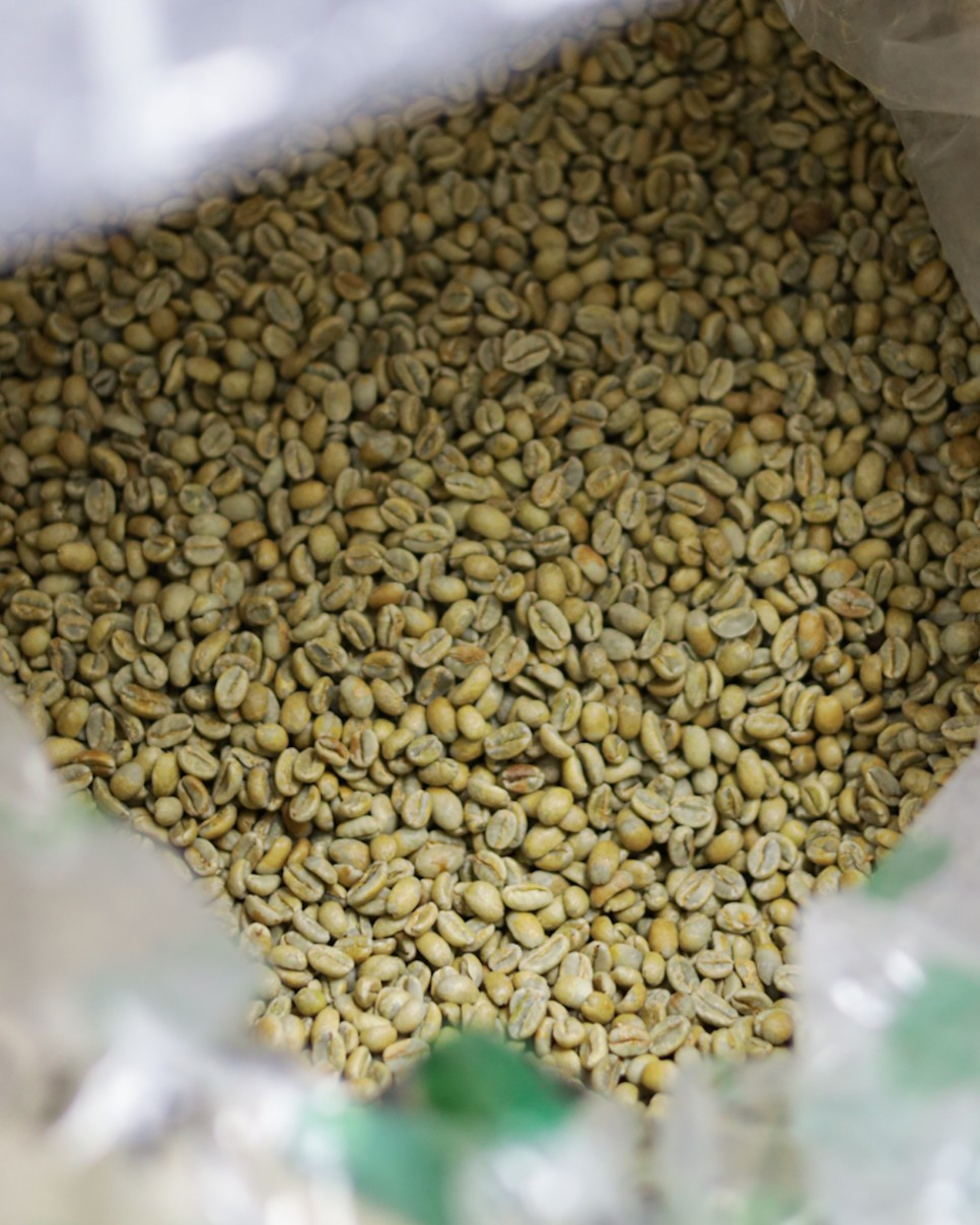 화면 캡처 2024-04-11 173546.jpg