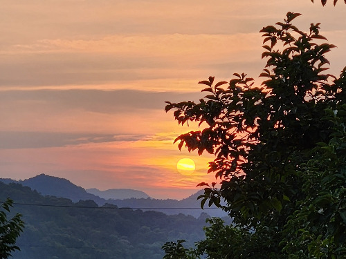 다운로드 (15).jpg