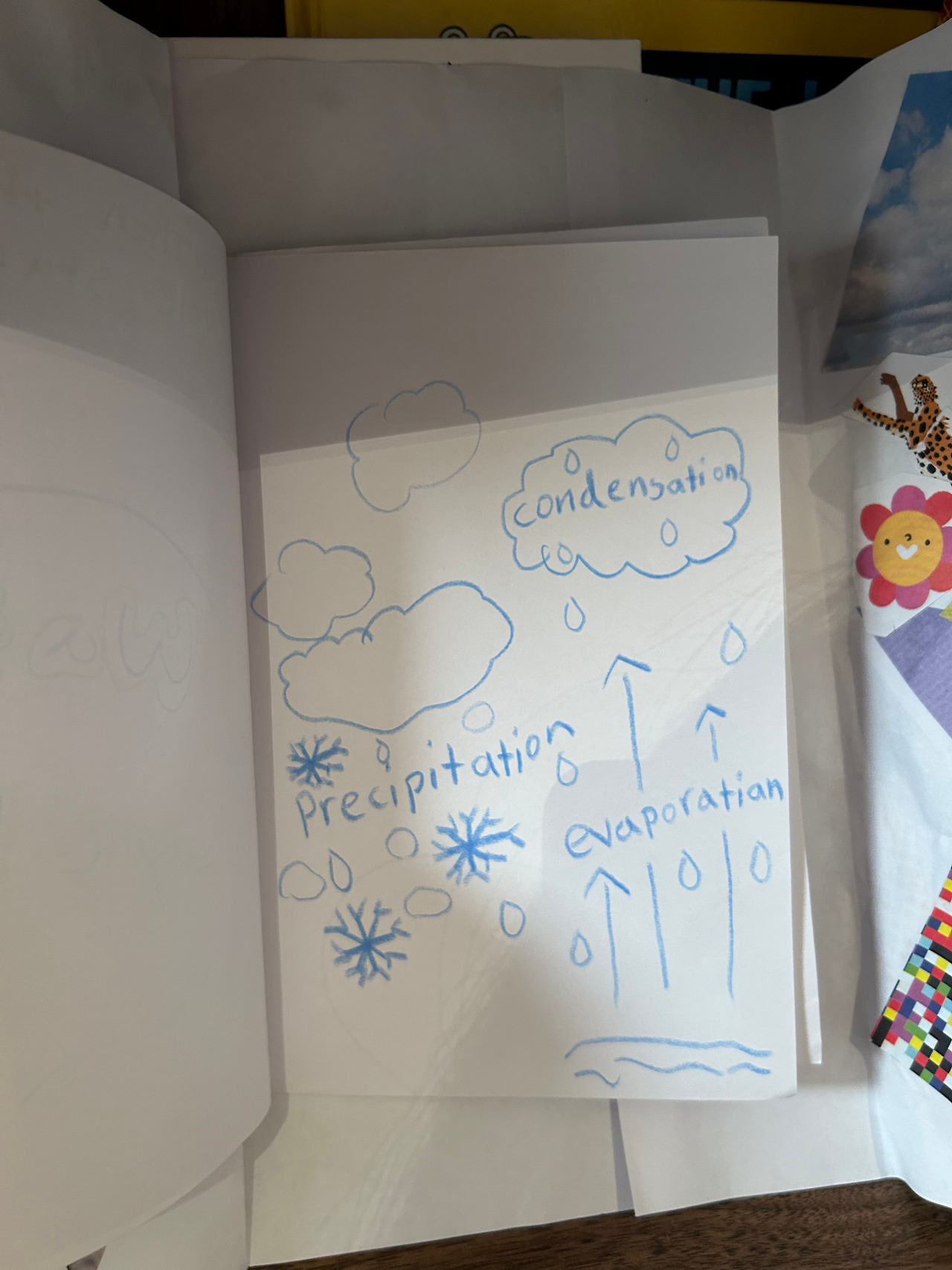 Weixin Image_20260106090935.jpg