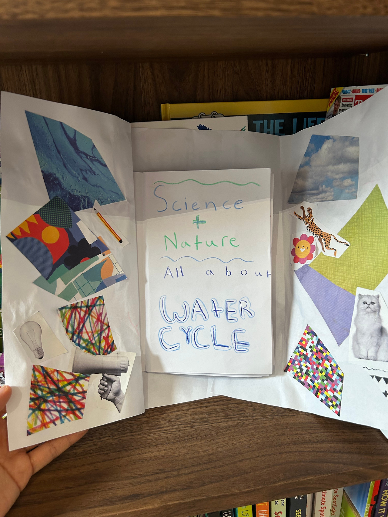 Weixin Image_20260106090909.jpg