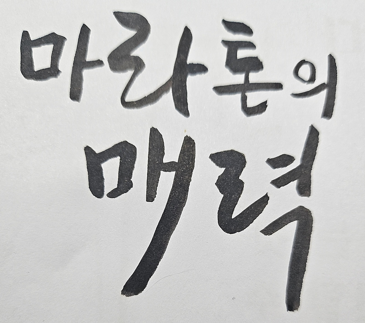 카지노 게임 사이트