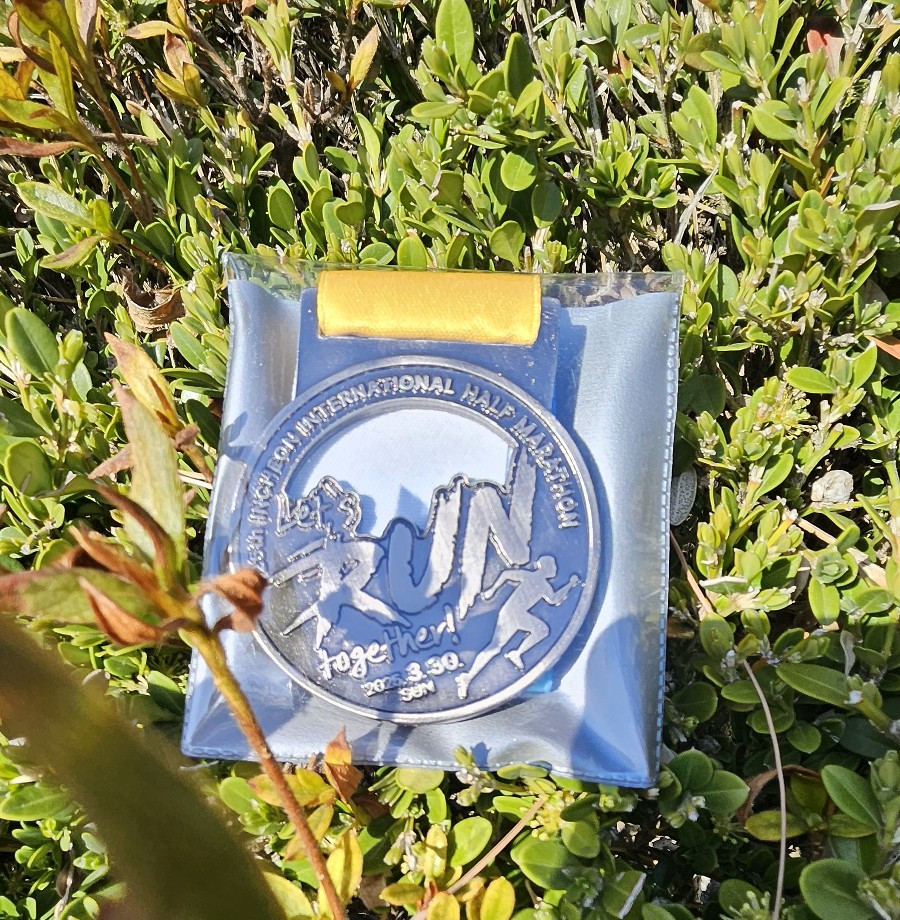 카지노 게임 사이트