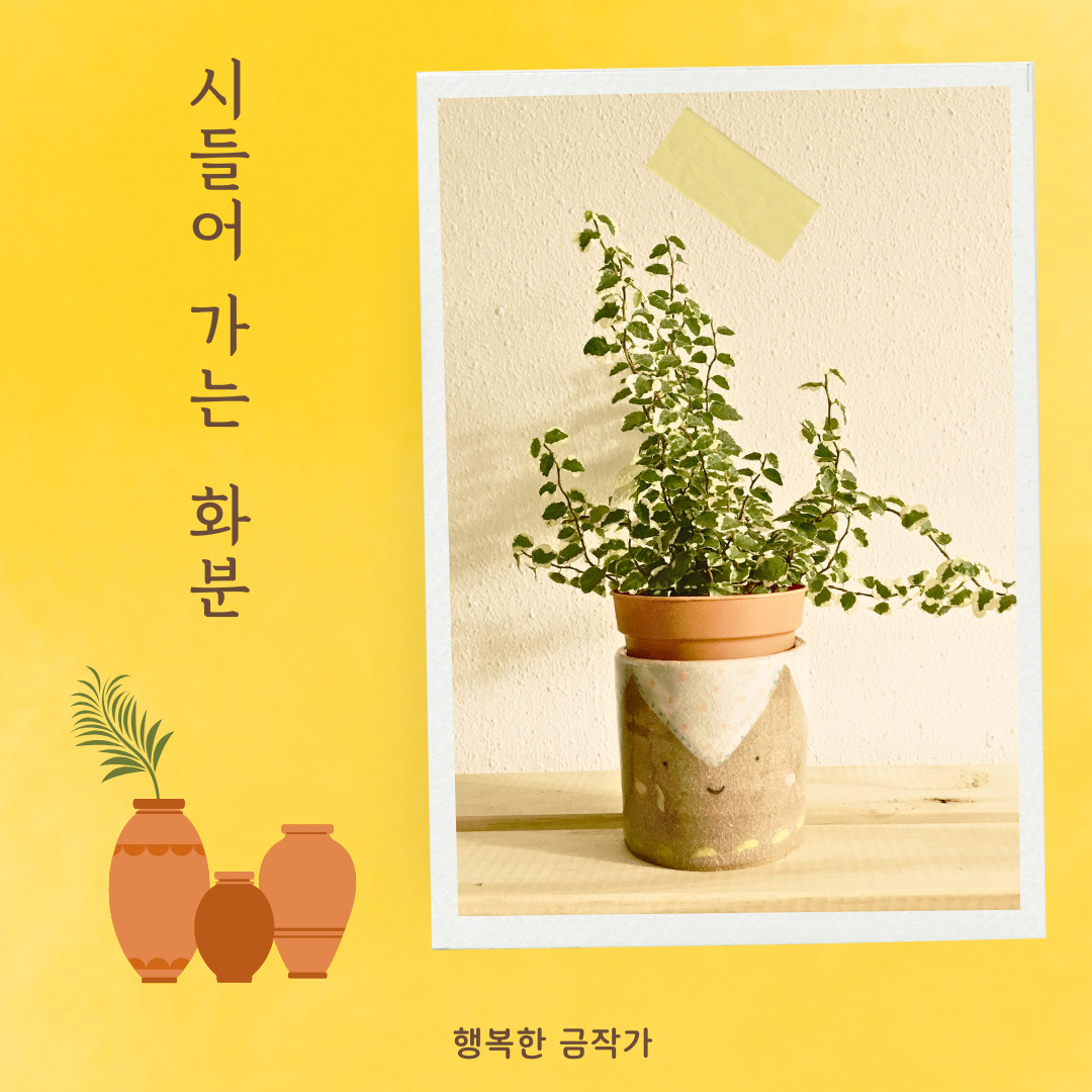 무료 카지노 게임