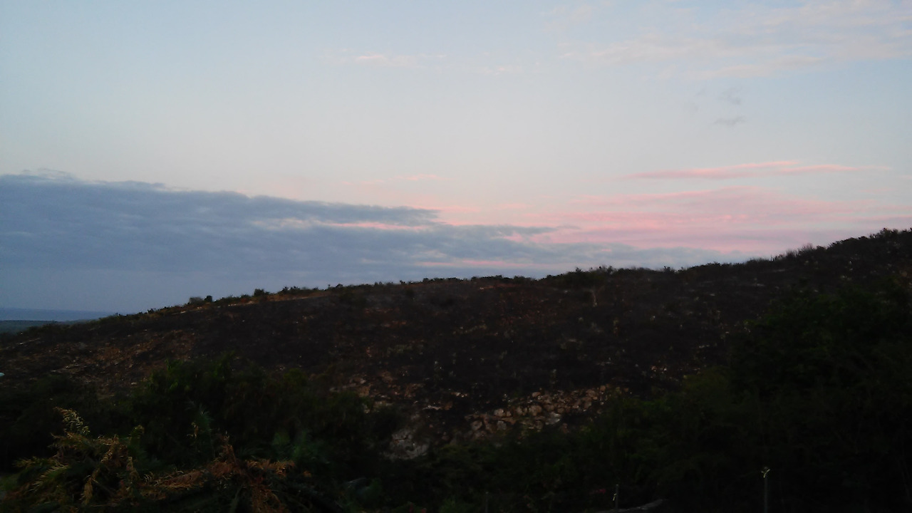 산불 다음날 아침.jpg