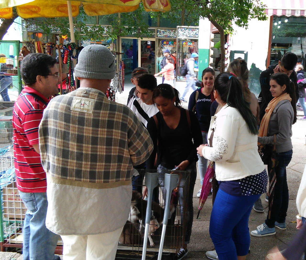 아바나 뒷골목 강아지 장수.jpg