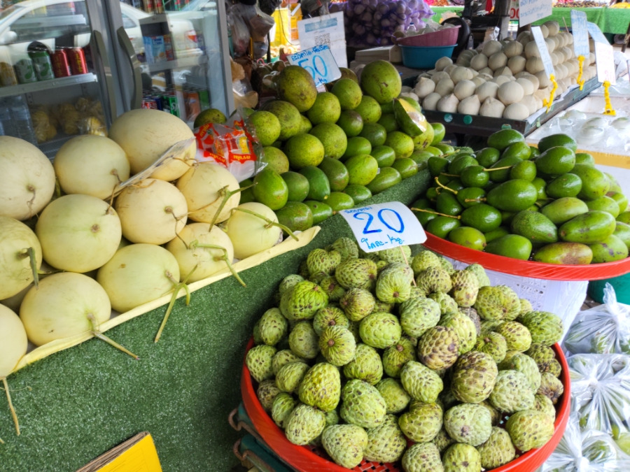 900＿20250801＿113427 (1).jpg