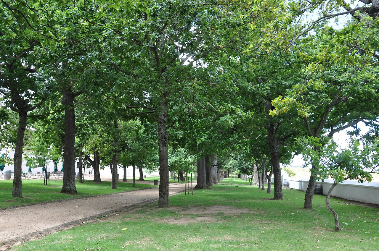 14년 11월 남아공 (94).jpg