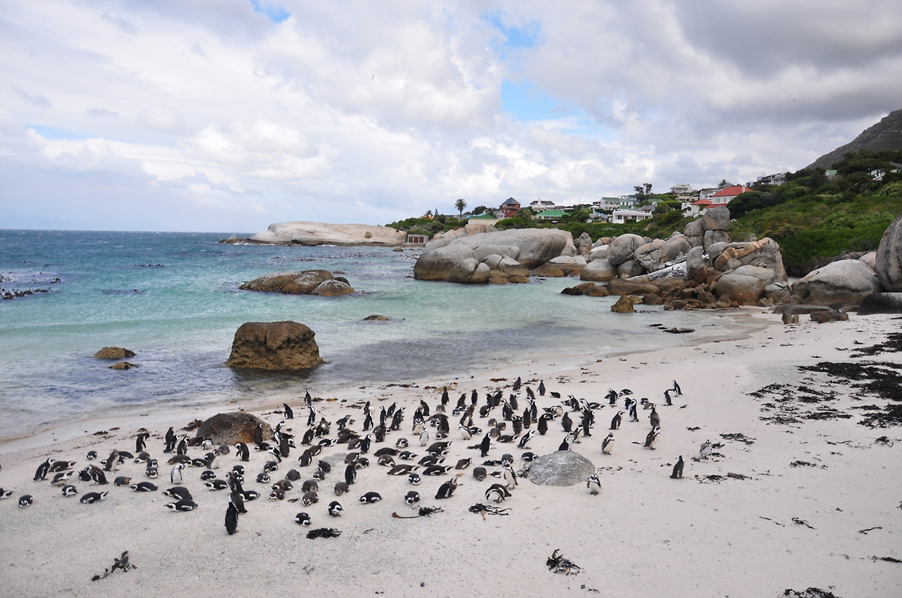 14년 11월 남아공 (285).jpg