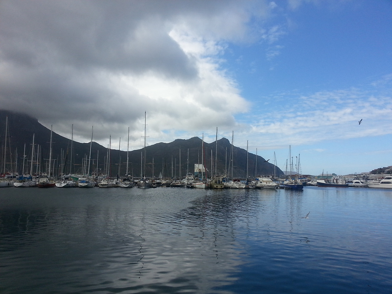 14년 11월 남아공 (63).jpg