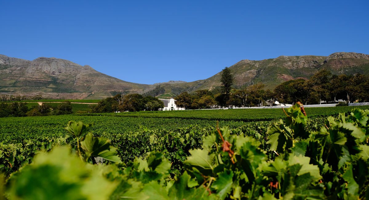 Groot-Constantia-B.jpg