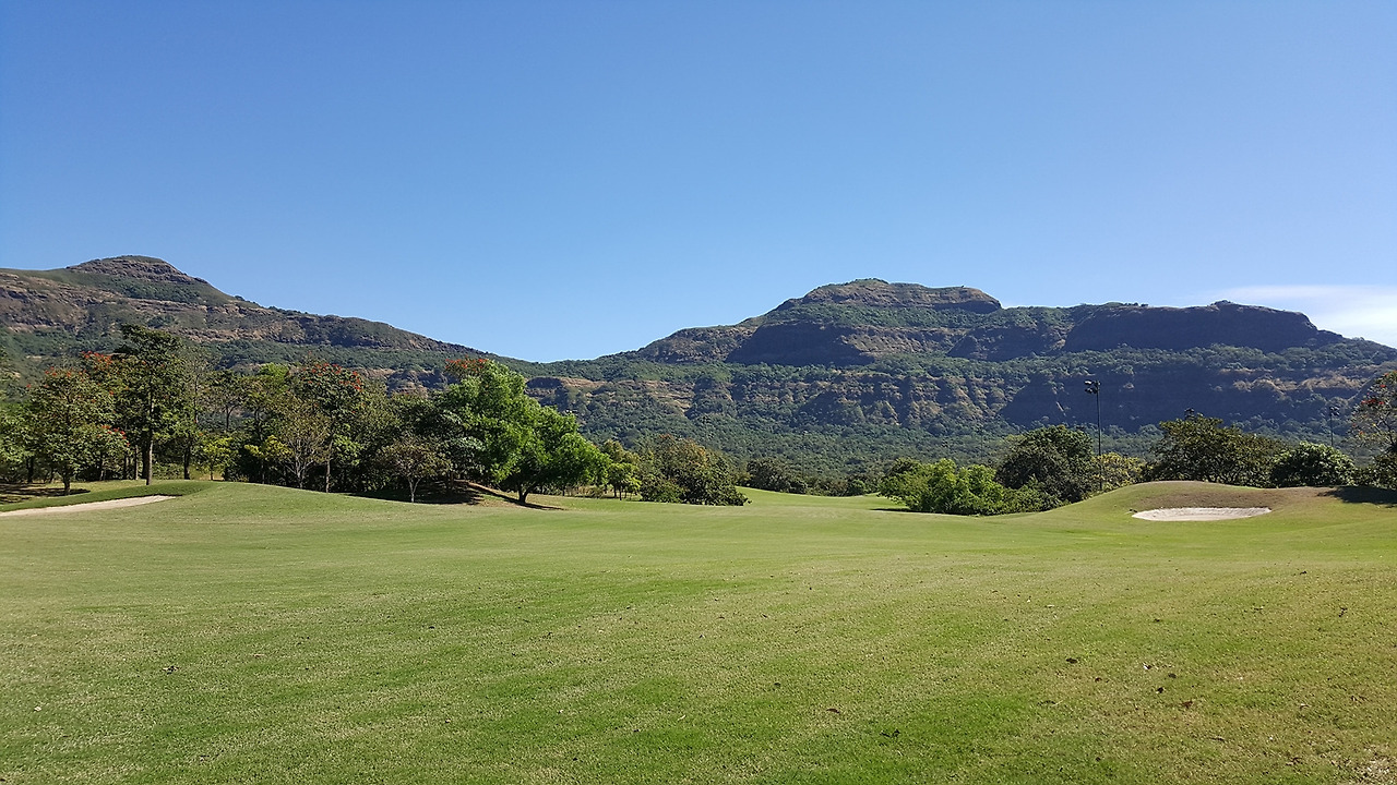 082 엠비벨리.jpg