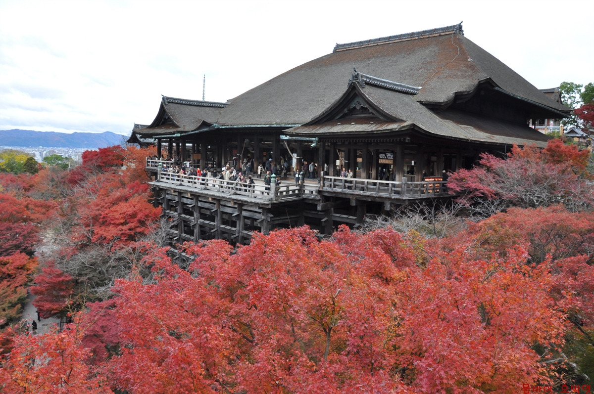 일본사진 407.jpg