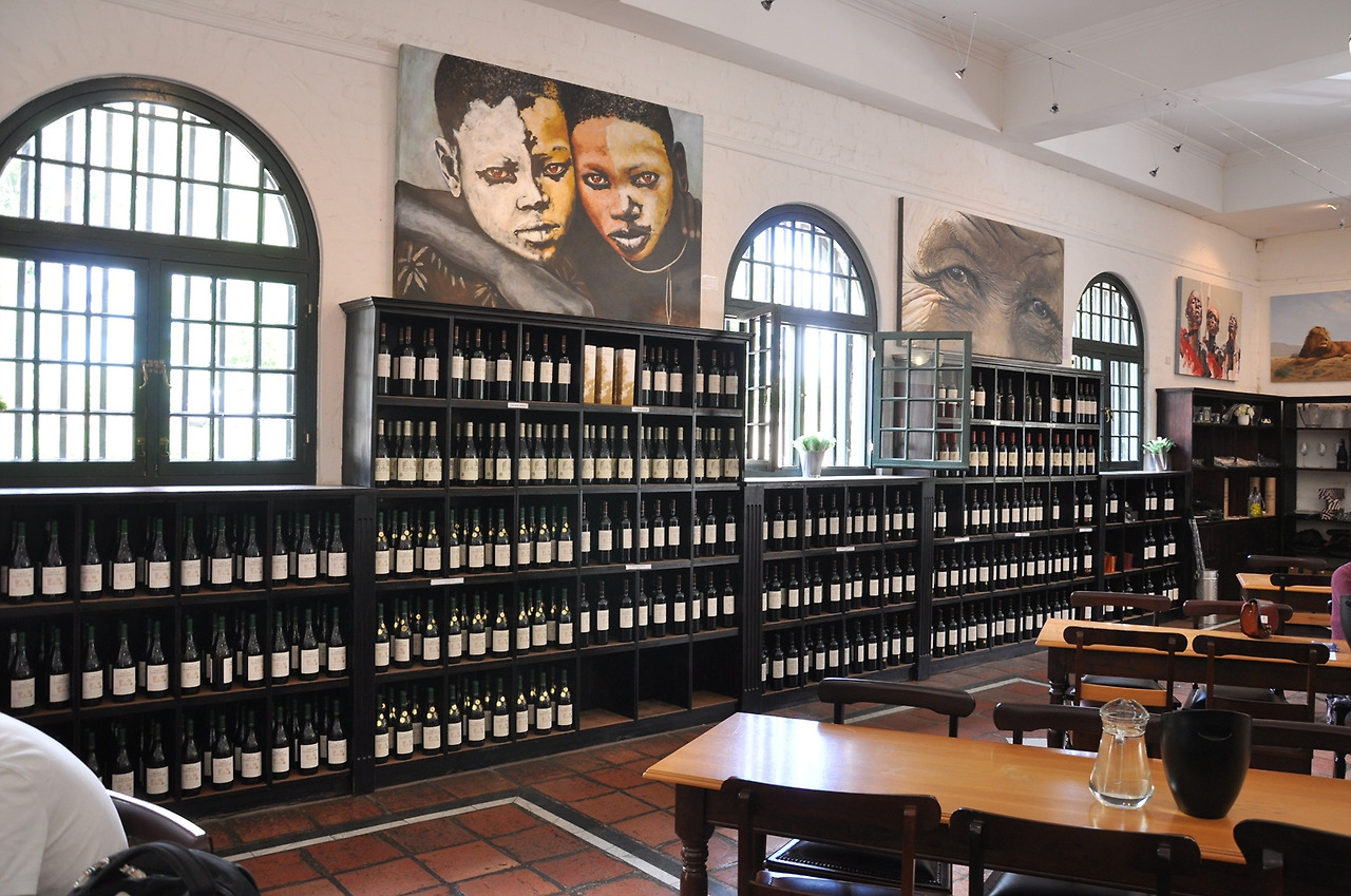 14년 11월 남아공 (100).jpg