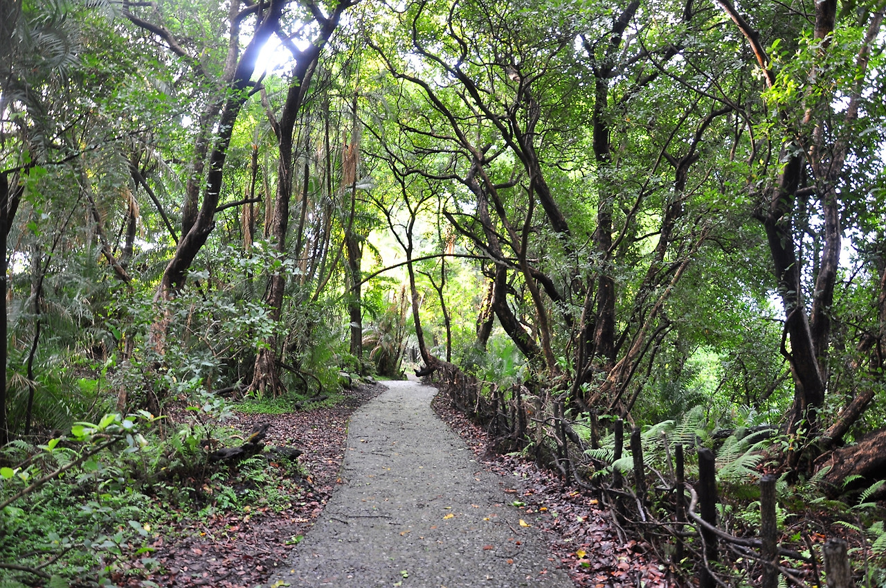 14년 11월 빅토리아 폭포 (232).jpg