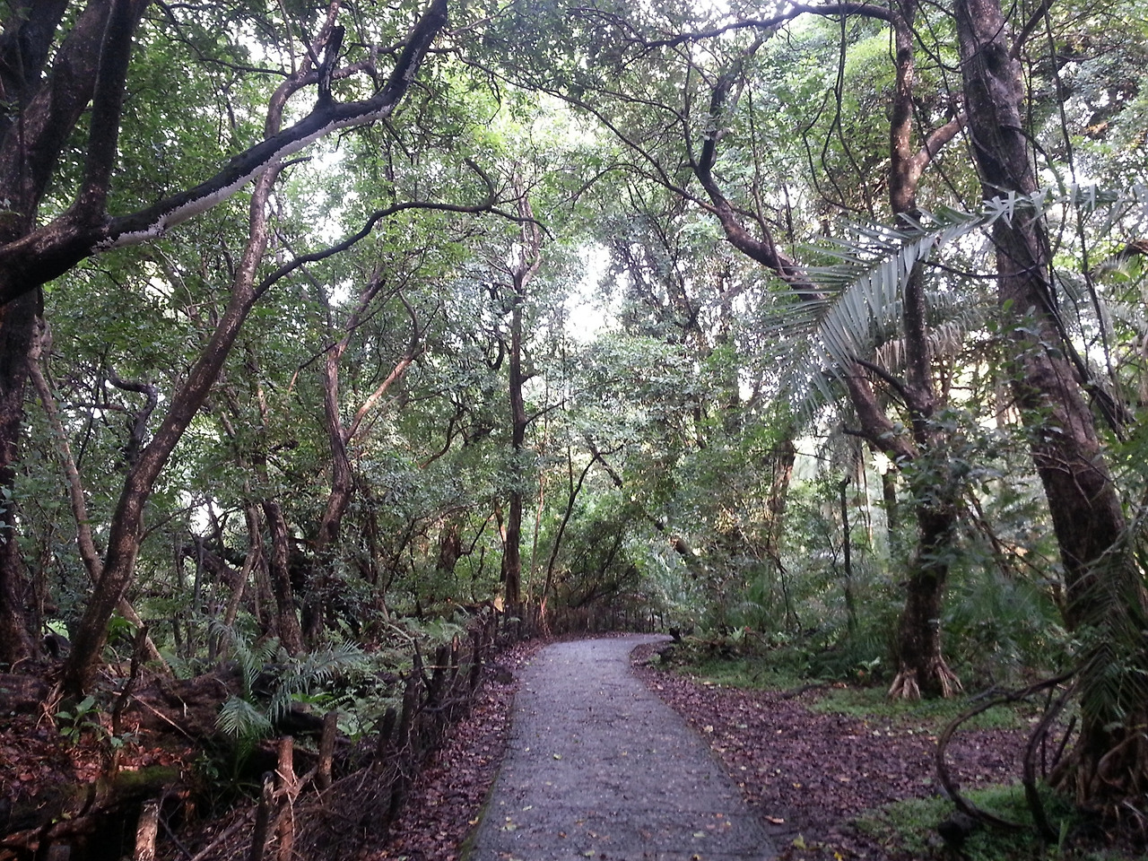 14년 11월 빅토리아 폭포 (82).jpg