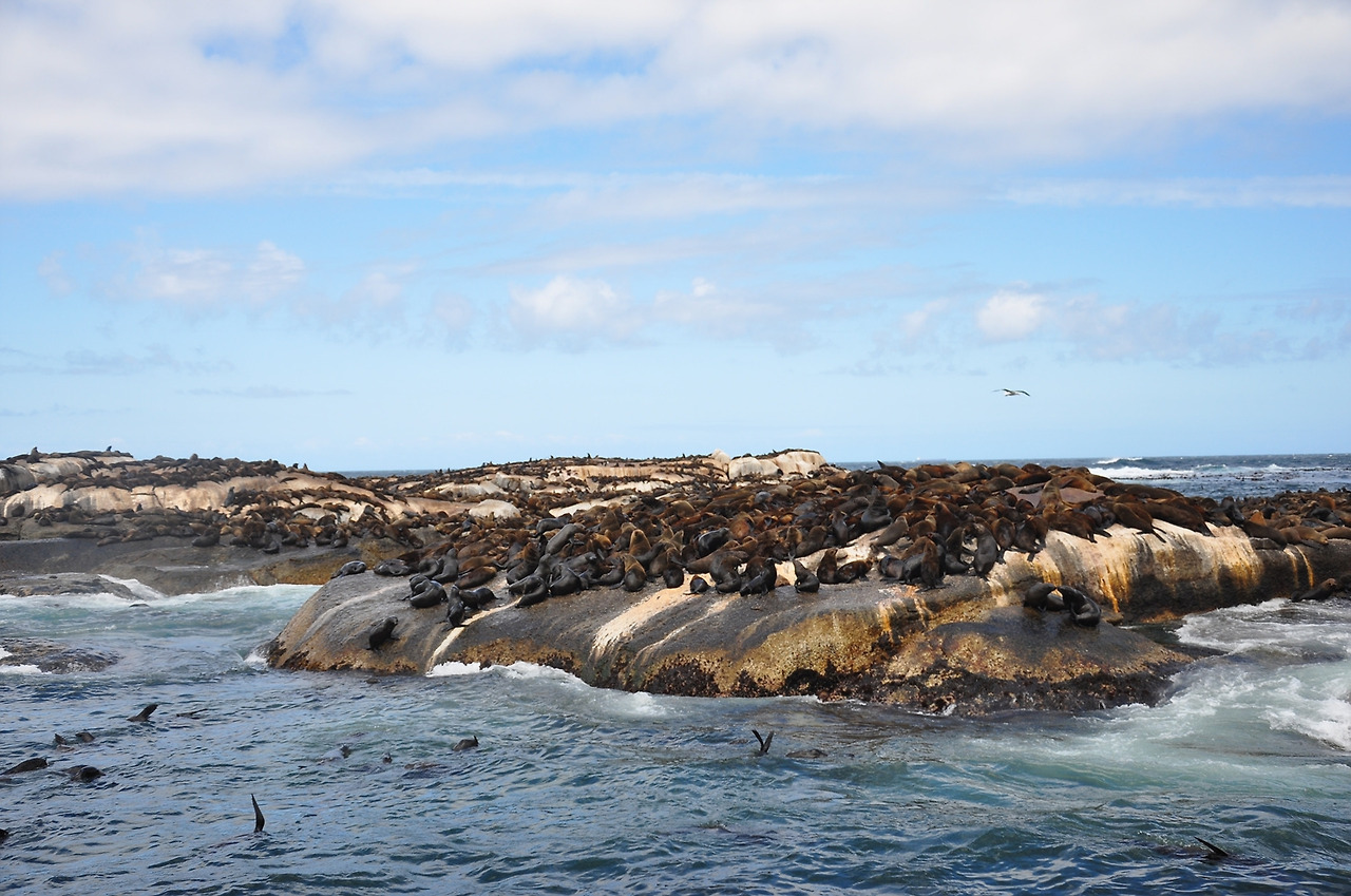 14년 11월 남아공 (258).jpg