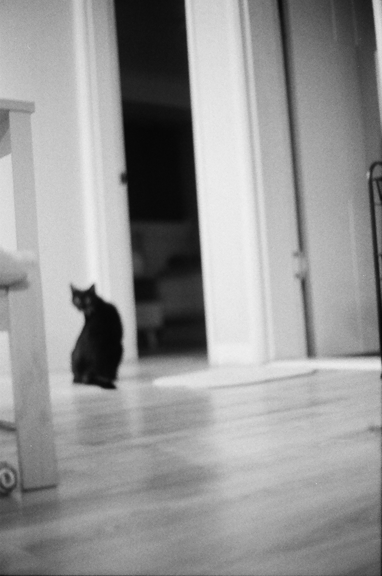 6p 퐁당아사랑해.jpg