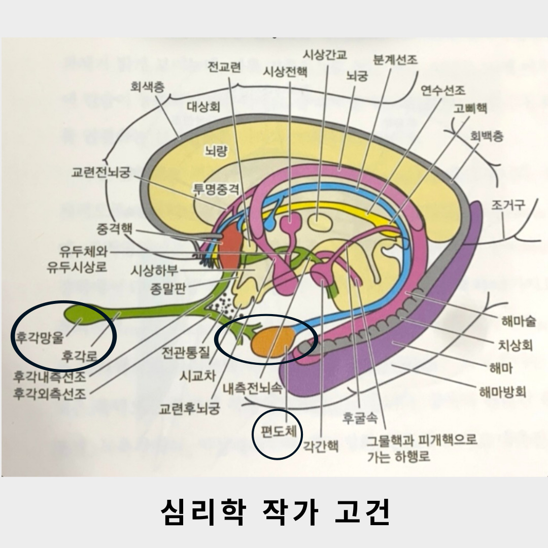 제목을-입력해주세요_-001 (31).jpg